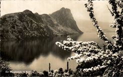 CPA Der Burgenstock im Fruhling