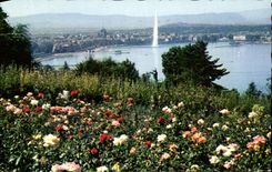CPA Geneva the Lake the Water Jet and the City Since the Slope of Cologny