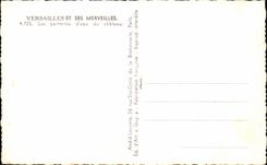 CPA Versailles Et ses Merveilles Les Parterres D'Eau du Chateau