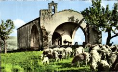 CPSM La Provence Une Vielle Chapelle Moutons