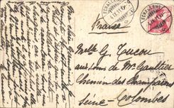 CPA Chateau De Chillon Et Cygnes