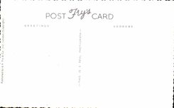 CPA Nelson Column Trapal London Public garden