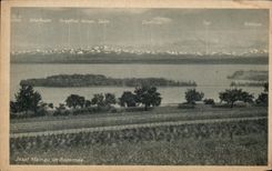 CPA Insel Mainau Im Bodensee