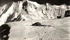 CPA the Mount Of Alpine laburnum In the Aunt