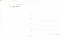 CPA the Mount Of Alpine laburnum In the Aunt