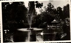 CPA Vichy Bassin des Cygnes