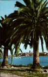 CPSm Antibes vista en viejo la palmera