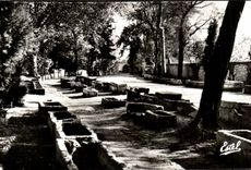 CPA Arles Alycamps Allee of the Tombs