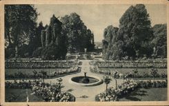 CPA Insel Mainau Rosenxarten