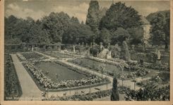 CPA Insel Mainau Rosengarten