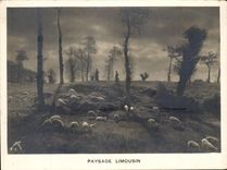 CPA Limousin Landscape