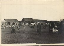 Photo village in Africa (Madagascar?) Camel