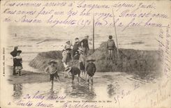 Pequenos trabajadores de CPA de los ninos del mar