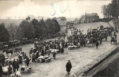 CPA Market auc sheep