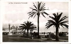 CPA Niza una esquina de la caminata