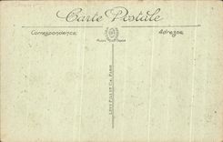 CPA Palais de Versailles Le Parc Bassin de Neptune