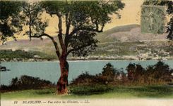 CPA Beaulieu Seen Between the Olive-trees