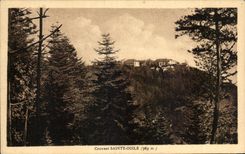 Santo de Odile de la cria de CPA