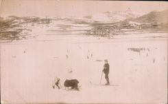 Real photo Rabbets Liege Winter sports Ski