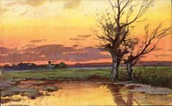 CPA Fantaisie Paysage Coucher de soleil