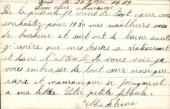 Flores de la fantasia de CPA