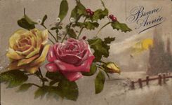 La fantasia de CPA florece rosas