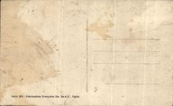 La fantasia de CPA florece rosas