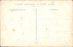 Flores de la Navidad de la fantasia de CPA