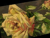 Flor amarilla Rose de la fantasia de CPA