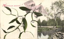 Flores de la imaginacion de CPA