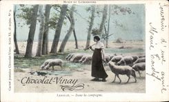 CPA Musee Du Luxembourg Lerolle Dans La Campagne Moutons 