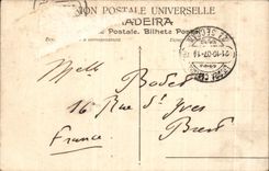 CPA Madeira Carro De Bois Coach of oxen