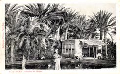 CPA Suez Fontaine De Moise Egypte