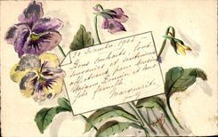 Flores de la fantasia de CPA