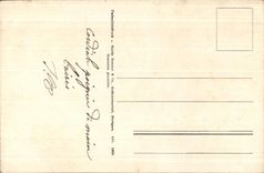 La fantasia de CPA florece rosas