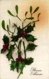 CPA Fantaisie Fleurs Gui Bonne annee