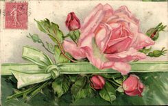 Flores de la fantasia de CPA