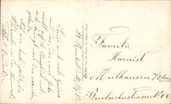 Flores de la fantasia de CPA