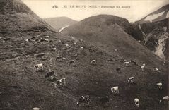 CPA the Mount Gilds Pasture Sancy Vaches