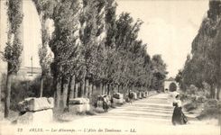 CPA Arles Aliscamps Allee Of the Tombs