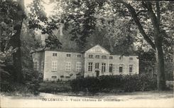 CPA Dolomieu Old Castle