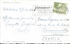 CPA Wilderswil put Jungfrau