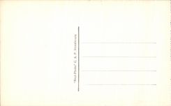 CPA Villefranche On Sea Through the Pines