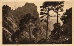 CPA Piana View of the Corsica Creek Corsica