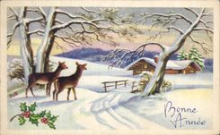 CPA Fantasy Bonen year Hinds