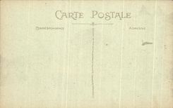 CPA Pau the Castle Seen Of the National park