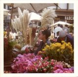 Photo Florist Flowers