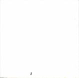 Photo Florist Flowers