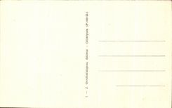 CPA Castle De Murols