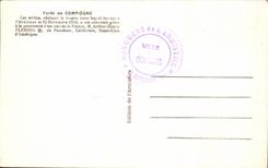 CPA Drill of Compiegne This building sheltering the coach Militaria Armistice